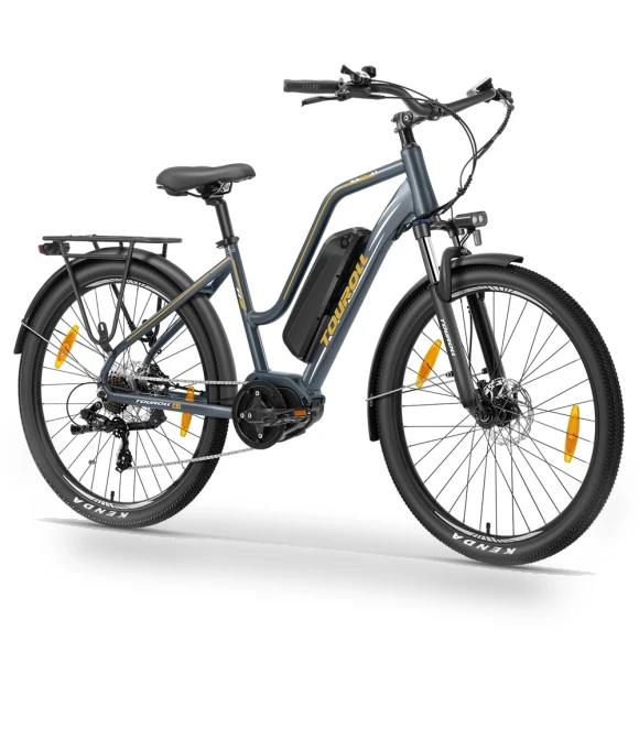 Electric Bike — Electric Self-Balancing Scooters, Touroll