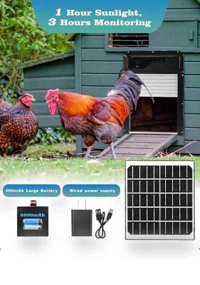 Automatic Chicken Coop Door — Doors, Caifunway