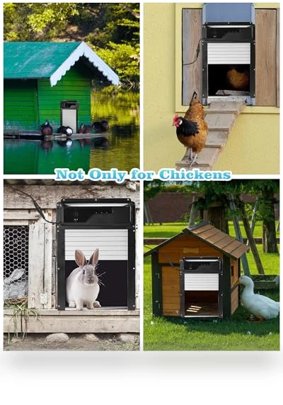 Automatic Chicken Coop Door — Doors, Caifunway