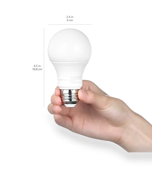 Dusk to Dawn Sensor LED Outdoor Light Bulb — LED, Amazon Basics