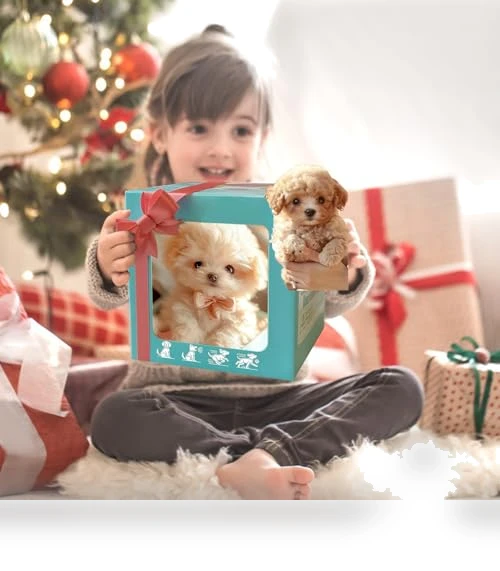 New Robot Dog — Interactive Animal Companions, EJV