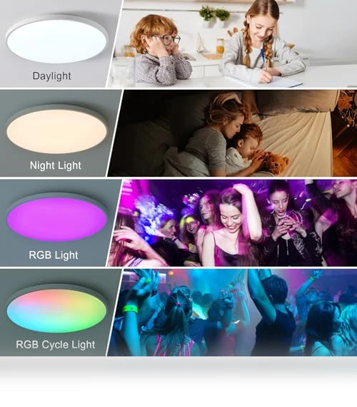 Smart Ceiling Light with Remote Control — Overhead Lighting, HENTAG