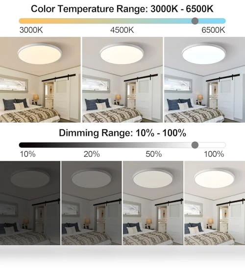 Smart Ceiling Light with Remote Control — Overhead Lighting, HENTAG