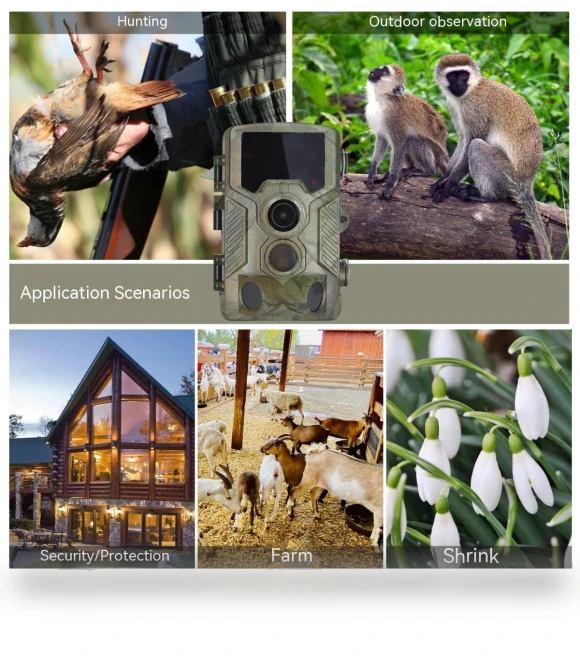HD 1080P Hunting Camera — Outdoor & Wildlife Cameras
