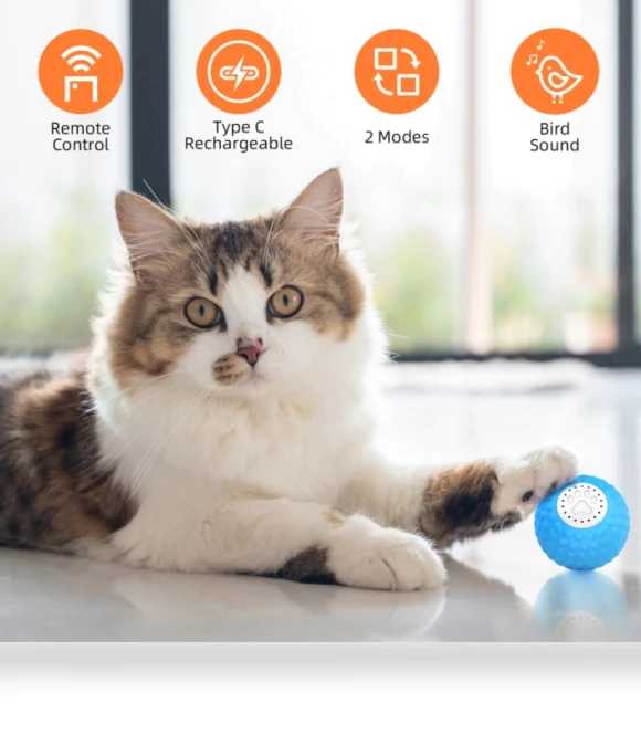 Intelligent pet cat toy ball — Cat Playthings