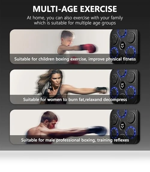 Smart Bluetooth Music Punching Machine — Boxing Training Gear, PetPong