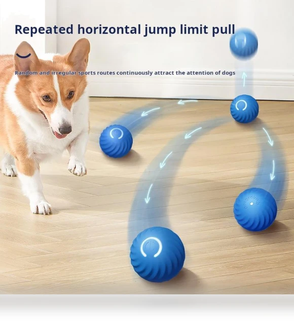 Interactive Smart Ball for Cats and Dogs — Cat Playthings, fashionjewelry12