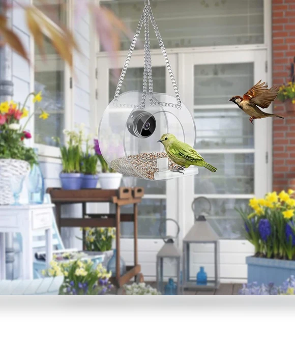 Smart Bird Feeder with Camera — Outdoor & Wildlife Cameras, Niubiplus