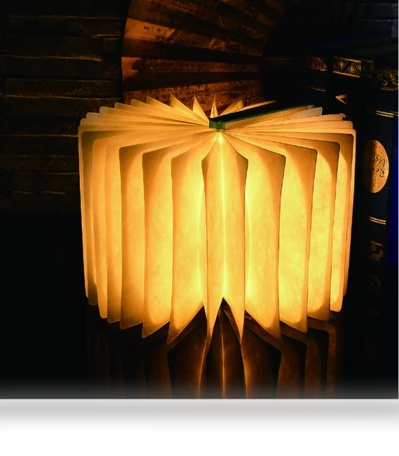 Portable Magic Cool Smart Luxury Battery Lantern — Outdoor Lanterns, Zhou Yajin
