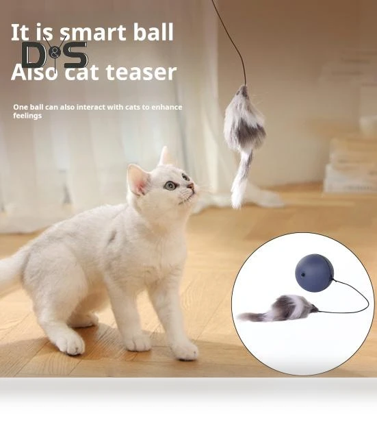Automatic Cat Toy with Rolling Ball — Cat Playthings, Kitty Cat House