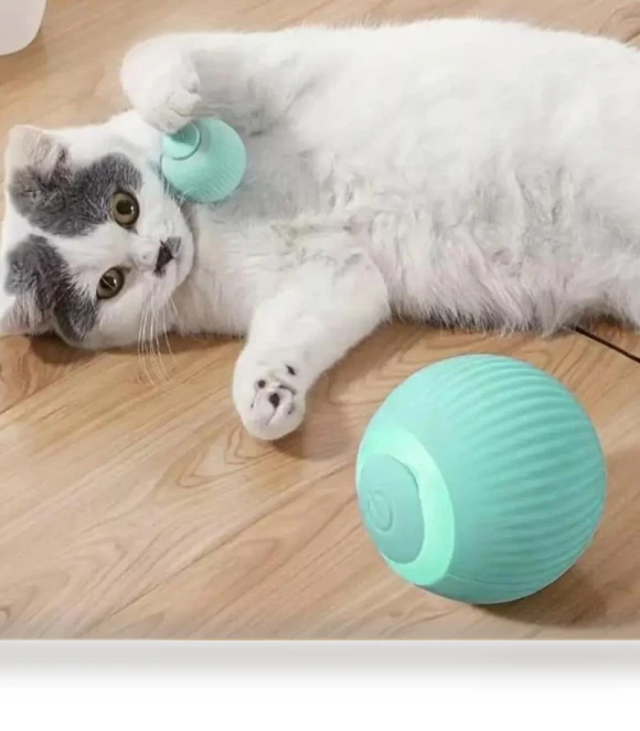 Funny Pet Toys Exercise Chase Electric Ball — Cat Playthings, Sock