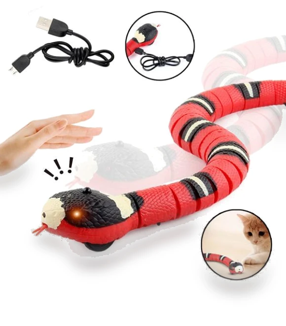 Interactive Cat Toy — Cat Playthings, Furious