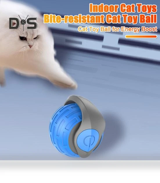 Interactive Cat Ball — Cat Playthings, Kitty Cat House