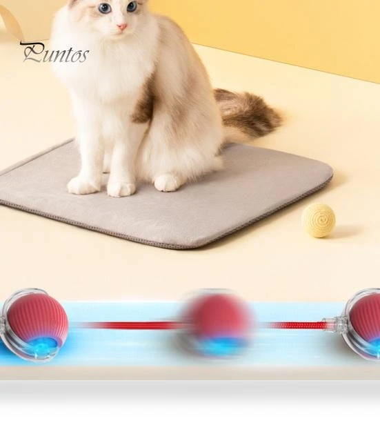 Interactive Cat Toy with Rolling Ball — Cat Playthings, Pet park