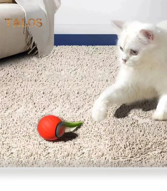 Interactive Rolling Toy for Cats — Cat Playthings, Vogue Wardrobe