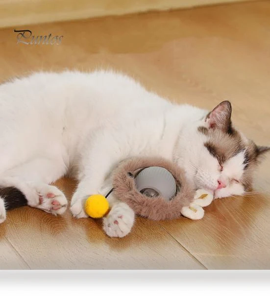 Interactive Cat Toy Ball — Cat Playthings, Pet park