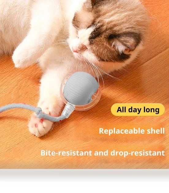 Interactive Cat Toy Ball — Cat Playthings, Love Pet House