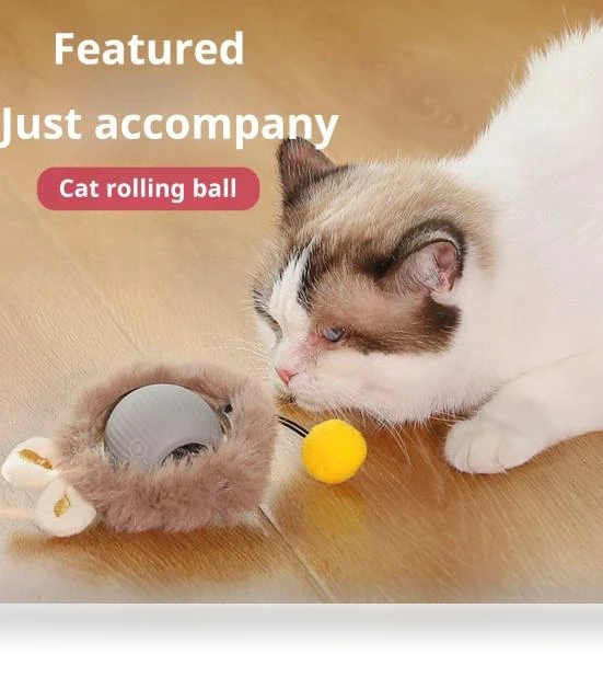 Interactive Cat Toy Ball — Cat Playthings, anruifu