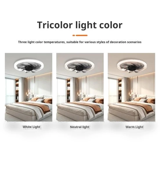 Smart Silent Ceiling Fan with Light — Ceiling Fan Lighting Solutions, Household Good