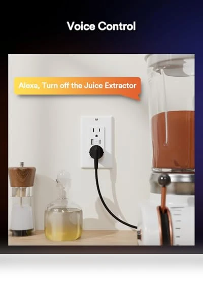 Smart Wall Outlet with Type C & USB Charger Ports — Smart Home Modules, Lumary