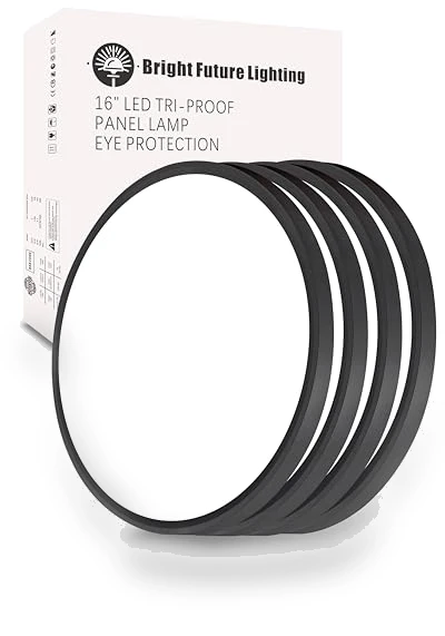16 Inch Led Flush Mount Ceiling Light — Overhead Lighting, Bright Future Lighting