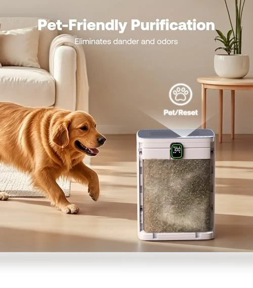 Air Purifier for Home — Activated Carbon Air Purifiers, Trucozie Home