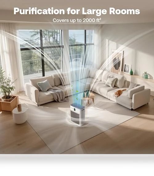 Air Purifier for Home — Activated Carbon Air Purifiers, Trucozie Home