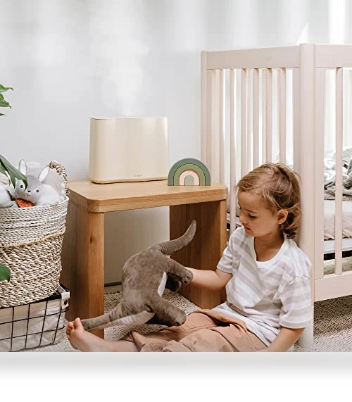 Cloud Humidifier — Air Moisturizers, VITRUVI