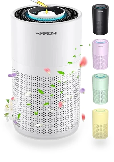 HEPA Air Purifier — Activated Carbon Air Purifiers, AIRROMI