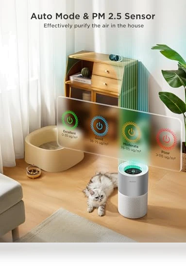 Smart Air Purifier for Homes and Large Rooms — Activated Carbon Air Purifiers, GoveeLife