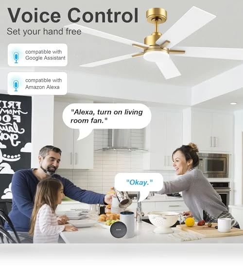 Smart Ceiling Fan with LED Lights — Ceiling Fan Wall Controls, Lorpies