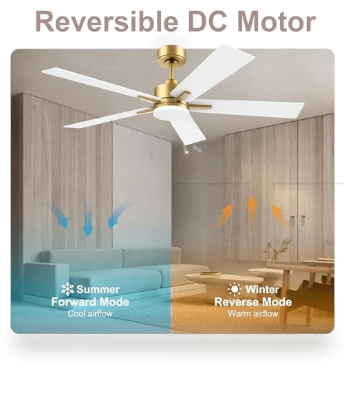 Smart Ceiling Fan with LED Lights — Ceiling Fan Wall Controls, Lorpies