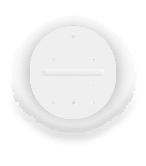 Wireless Smart Speaker — Built-In Audio Solutions, Sonos