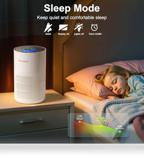 Air Purifier with Sleep Mode & Aroma Function — Activated Carbon Air Purifiers, FancyBark