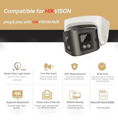 Dual-Lens PoE Security Camera — Security Cameras, PANOEAGLE