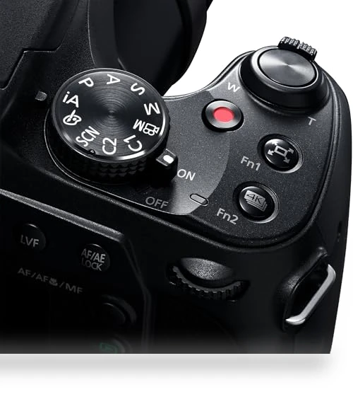 Point and Shoot Digital Camera — Compact Digital Cameras, Panasonic
