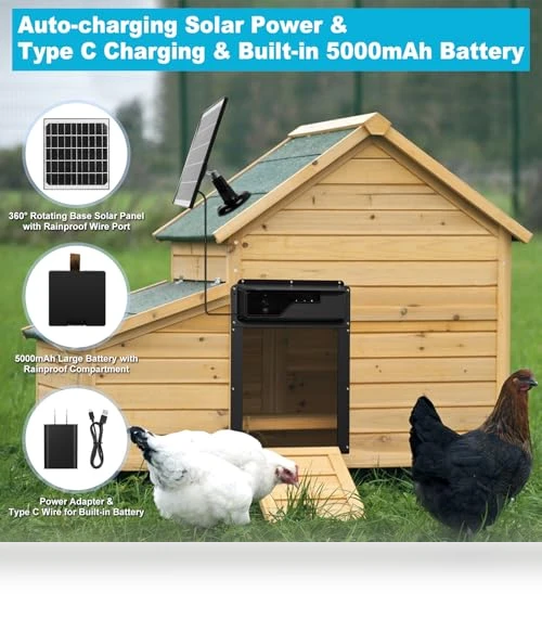 Automatic Chicken Coop Door — Electronic Doors