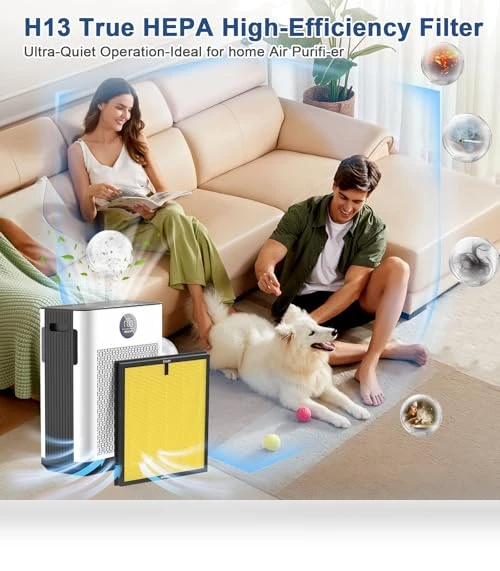 Replacement H14 HEPA Air Filters — Activated Carbon Air Purifiers, DAYETTE