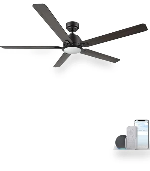 Smart Ceiling Fan with Lights — Ceiling Fan Wall Controls, CEME