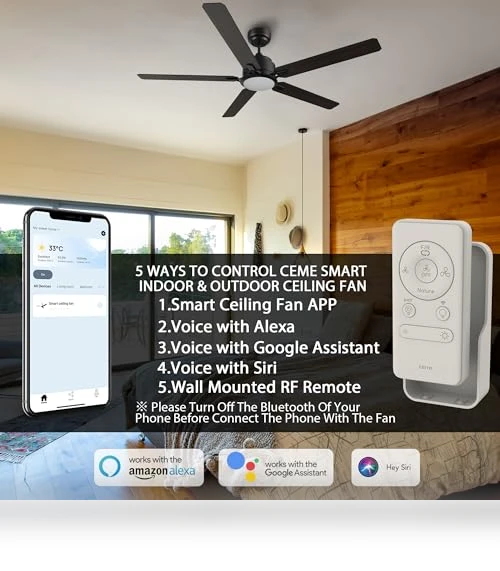 Smart Ceiling Fan with Lights — Ceiling Fan Wall Controls, CEME
