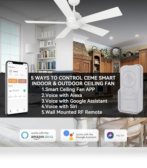 Smart Ceiling Fan with Lights — Ceiling Fans & Accessories, CEME