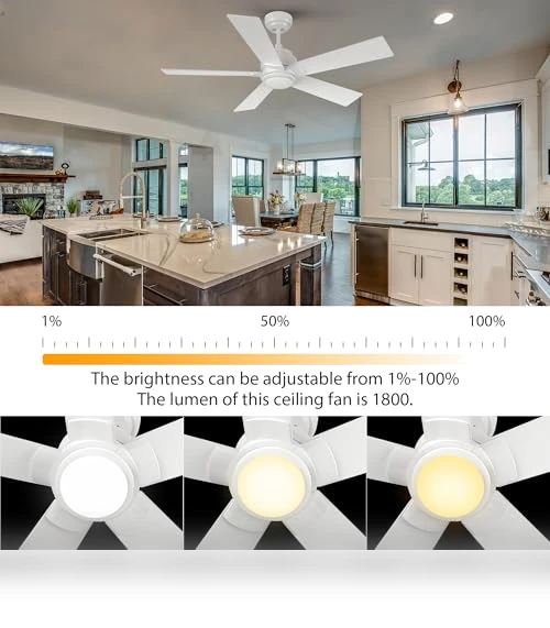 Smart Ceiling Fan with Lights — Ceiling Fans & Accessories, CEME
