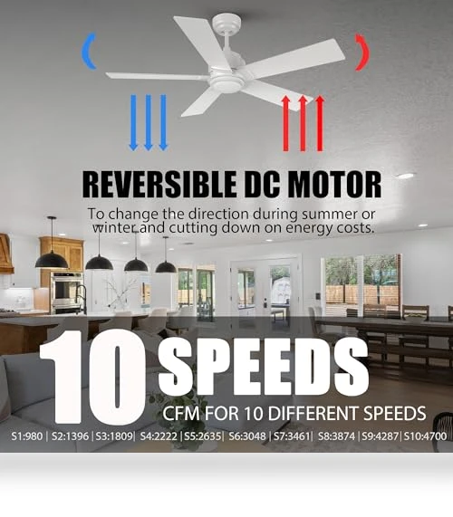 Smart Ceiling Fan with Lights — Ceiling Fans & Accessories, CEME