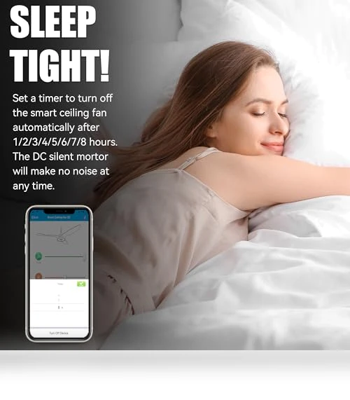 Smart Ceiling Fan with Lights — Ceiling Fans & Accessories, CEME