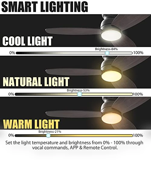 Smart Flush Mount Ceiling Fan with Lights — Ceiling Fan Wall Controls, CEME