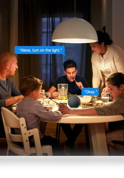 Smart Light Switch with Bluetooth Remote — Smart Home Modules, Shenzhen Avatar Controls Co., Ltd