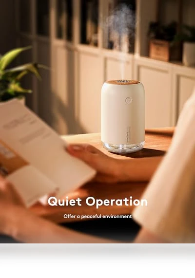 Small Humidifier — Air Moisturizers, SMARTDEVIL