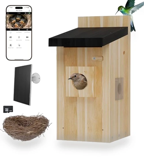 Smart Bird House with Camera — Outdoor & Wildlife Cameras, Hiyiton