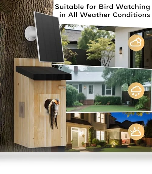 Smart Bird House with Camera — Outdoor & Wildlife Cameras, Hiyiton