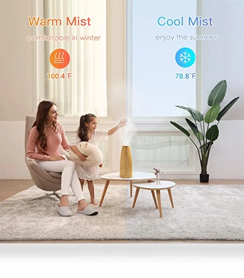 Warm and Cool Mist Ultrasonic Humidifier — Air Moisturizers, Elecameier